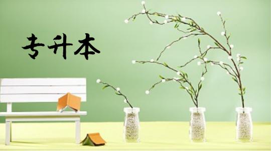 關(guān)于2020屆高職單招學(xué)生全日制“專(zhuān)升本”招生培養(yǎng)計(jì)劃的通知 