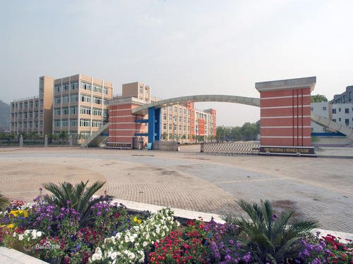 宜賓職業(yè)技術學院2020年單獨招生章程