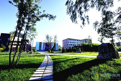 為什么高職單招文化、面試和志愿填報(bào)三個(gè)方面都很重要？